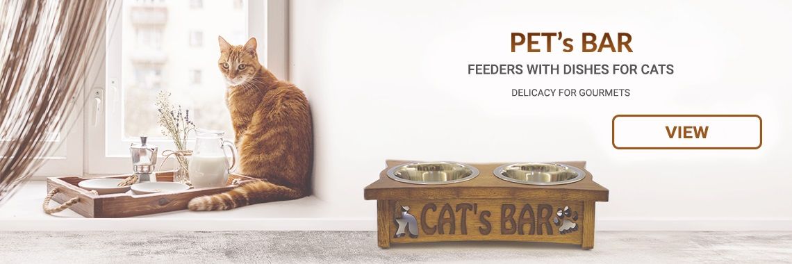 Feeders with dishes for cats