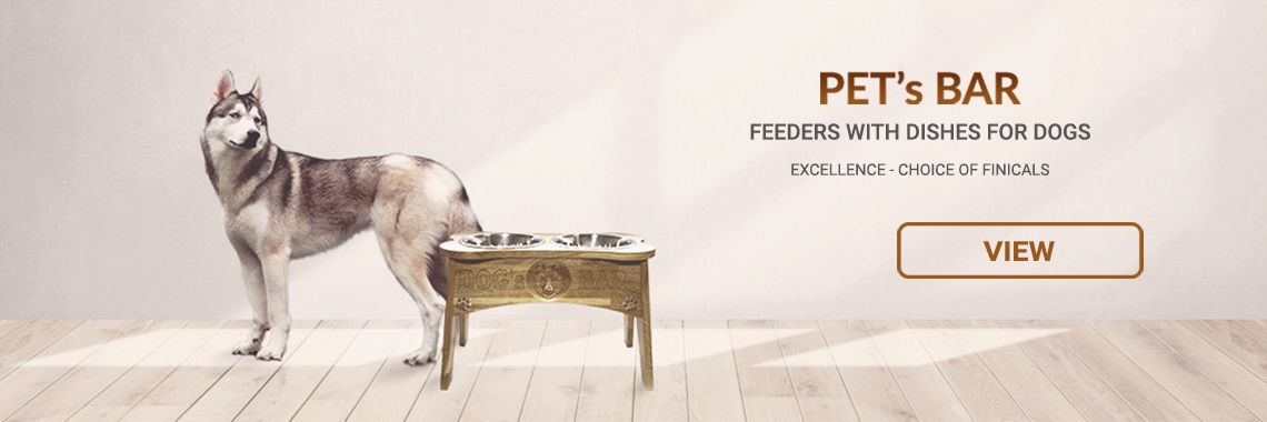 Feeders with dishes for dogs